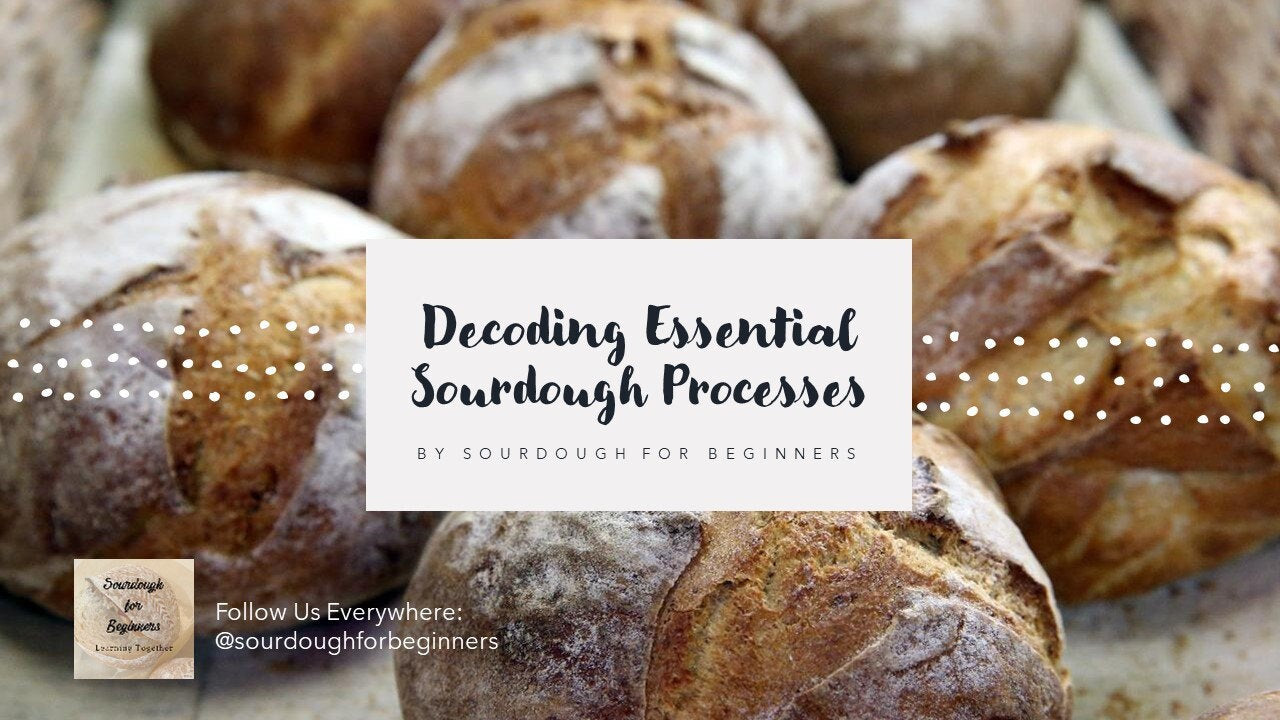 Sourdough Essentials Guide - Decode Sourdough - Learn which Processes are Essential and which are Optional - by Sourdough for Beginners