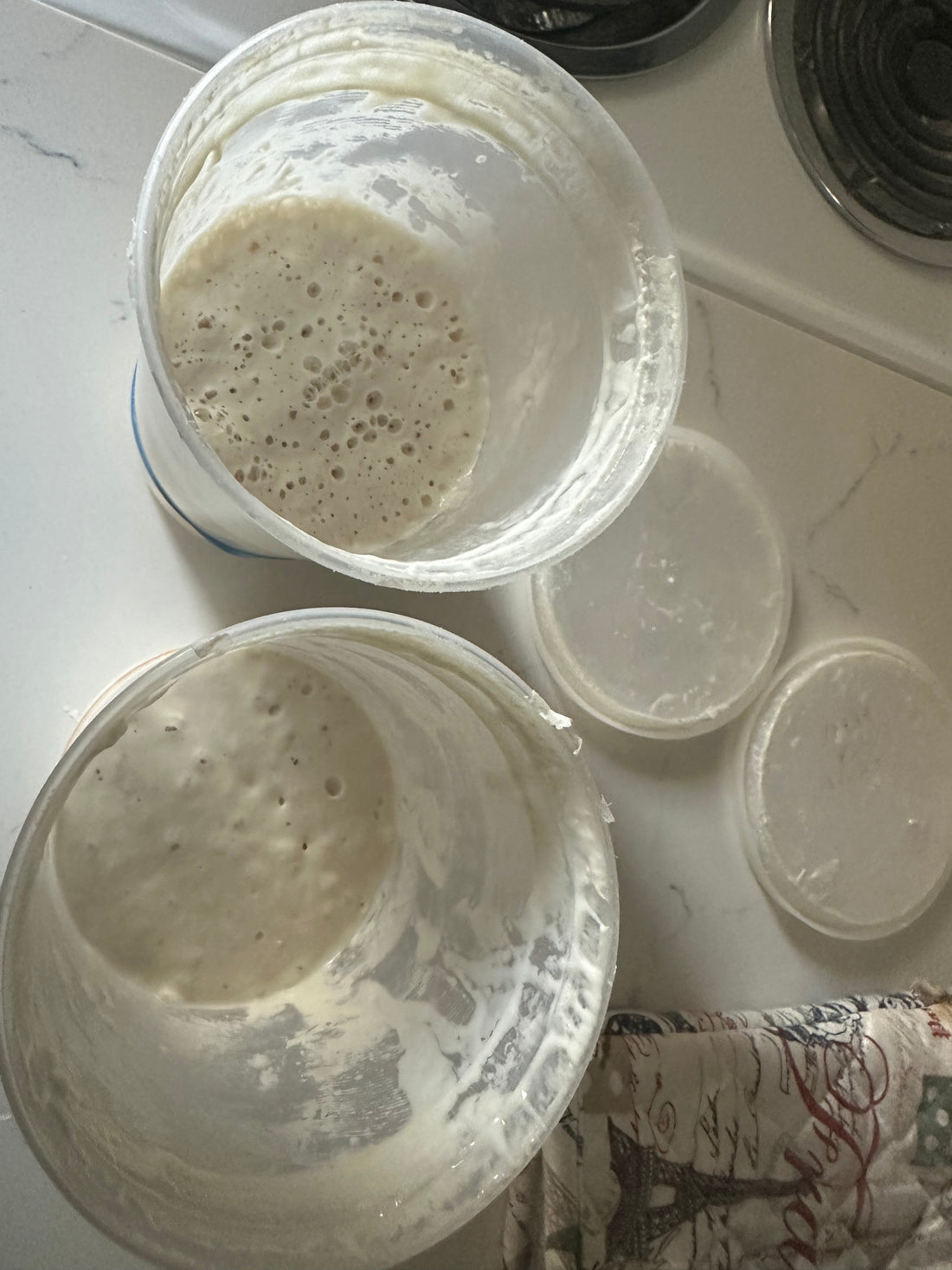 Common Sourdough Starter Questions - Explained!