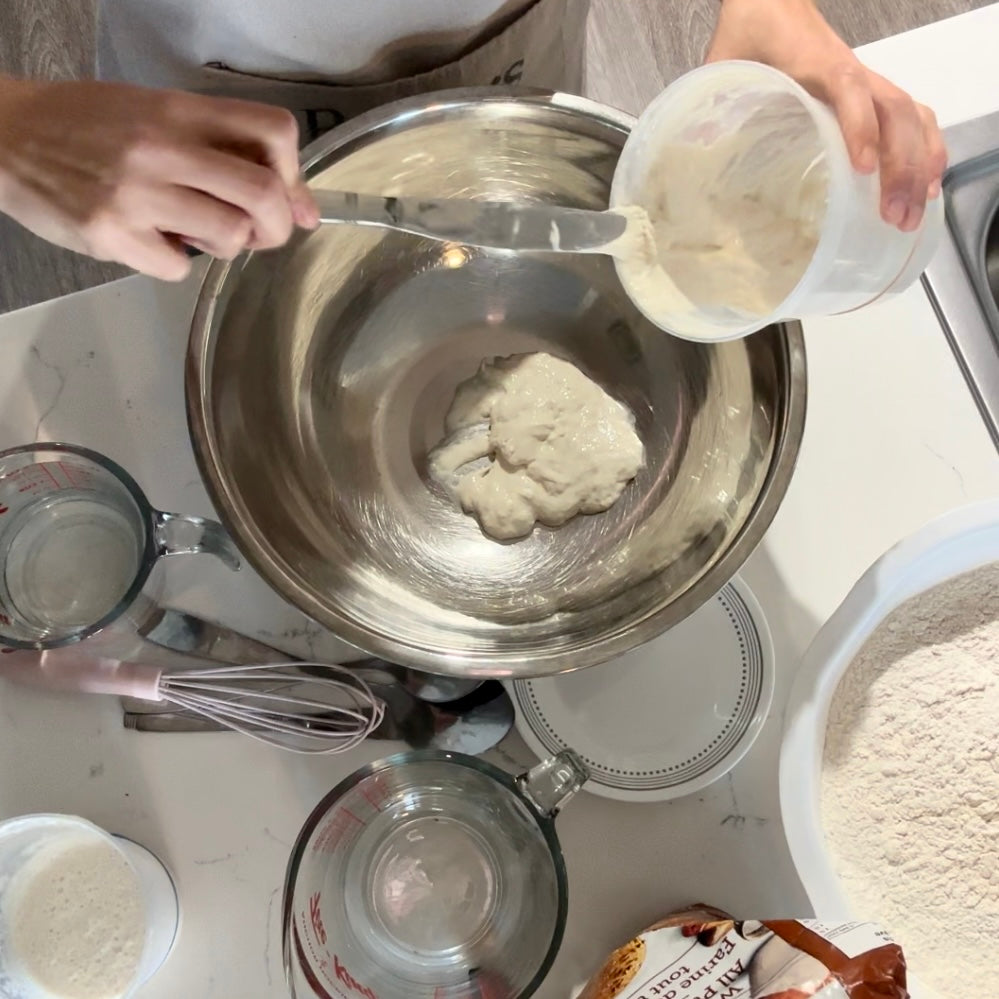 Printable Sourdough Essential Processes Recipes - Starter, Maintenance, Beginner Bread Recipe, Level 2 Hydration Recipes with Instructions
