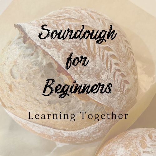 Sourdough for Beginners logo