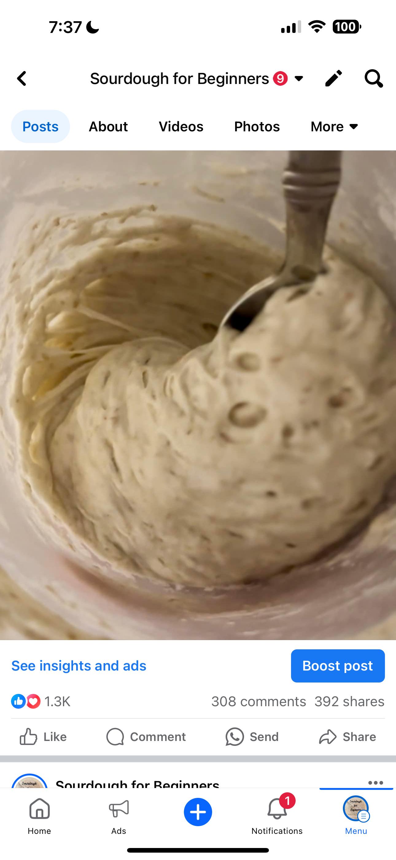 Sourdough 1 on 1 Video Sessions with Sarah - 4 Sessions - Make Perfect Sourdough the First Time! Includes Dehydrated Starter and 2 Ebooks