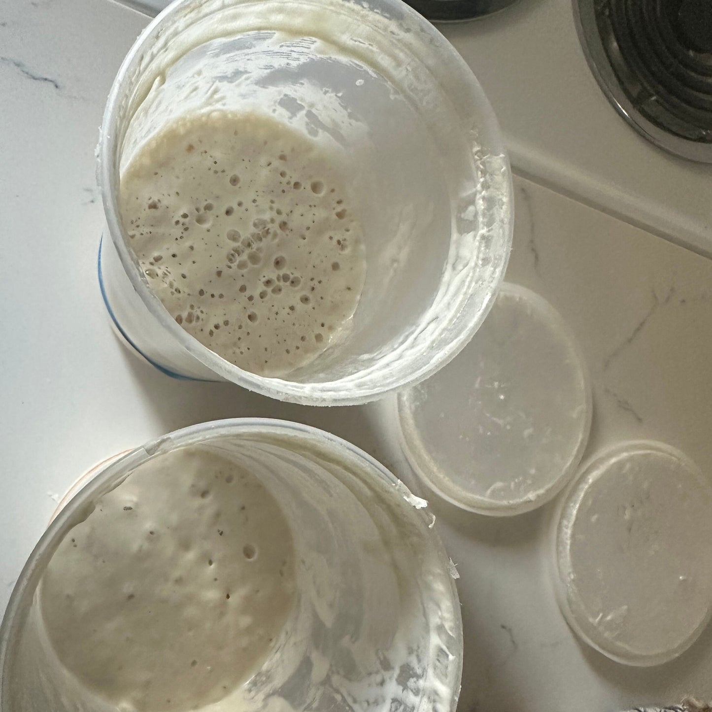 Dehydrated Sourdough Starter - Famous Starter named Mama by Sarah from Sourdough for Beginners - 15 grams - With Full Instructions